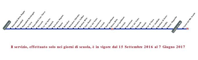 schematica linea
