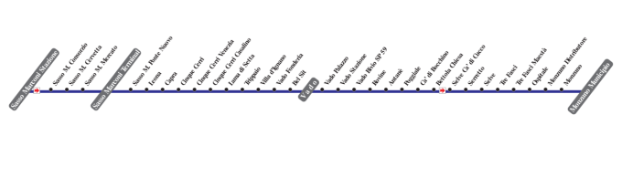 schematica linea